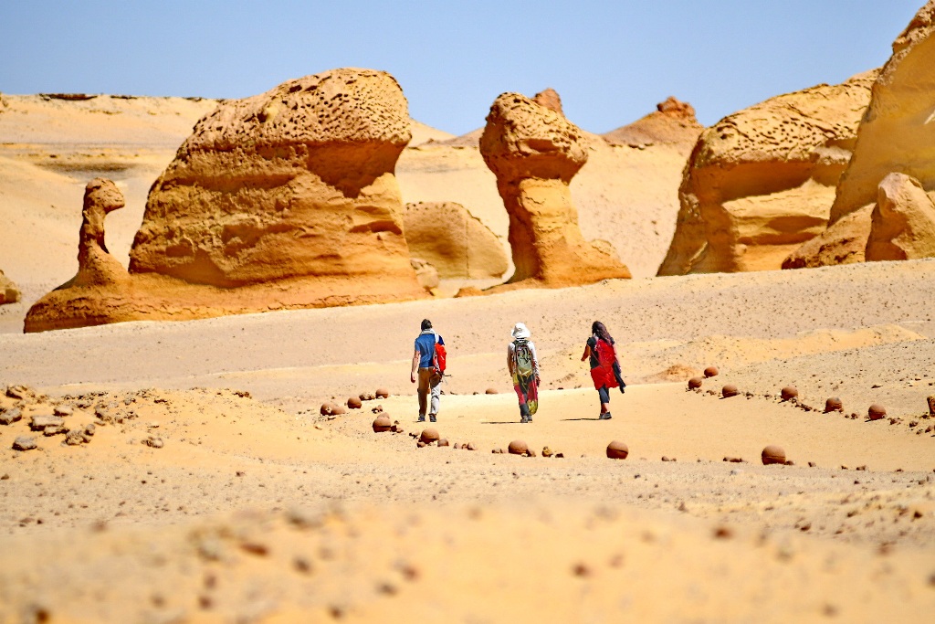 Day Tour to El Fayoum from Cairo