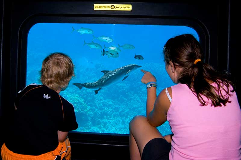 Submarine Tour in Hurghada