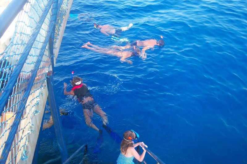 Snorkeling Trip At Port Ghalib Marina from Marsa Alam