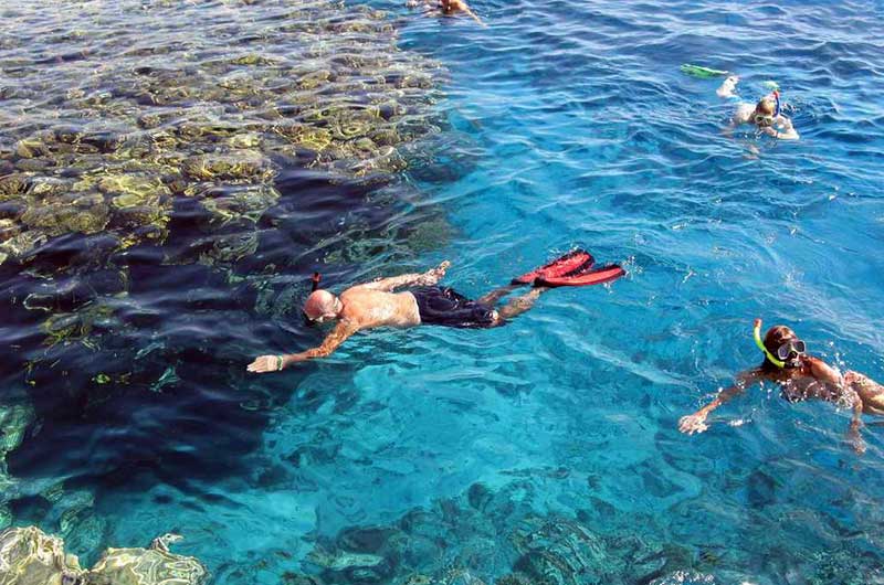 Abu Dabab Snorkeling Tour in Marsa Alam