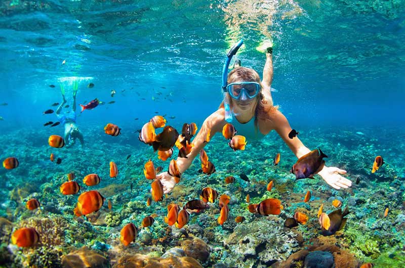 Snorkeling Trip at Hamata Islands From Marsa Alam