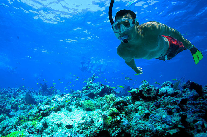 Snorkeling Trip to Tiran Island