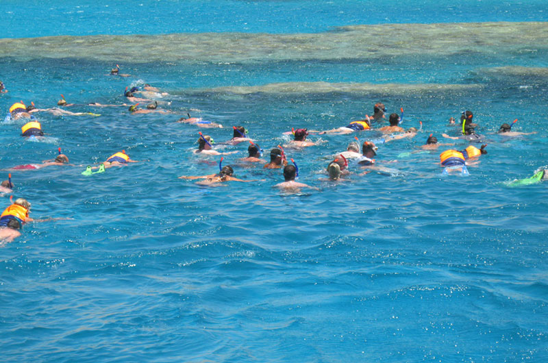 Snorkeling by Boat to Ras Mohamed