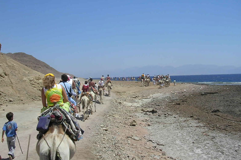 Abu Galum Safari Tours from Sharm El Sheikh