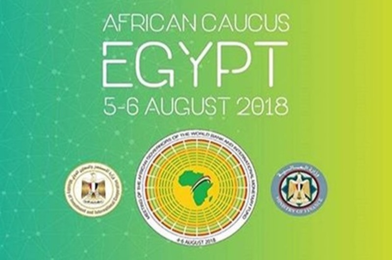 AFRICAN CAUCUS ( CENTERL BANK OF EGYPT )