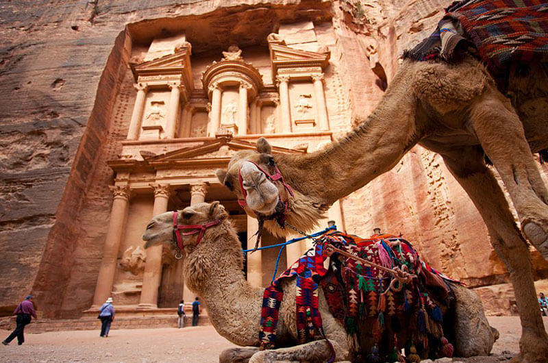 Petra and Wadi Rum Tour