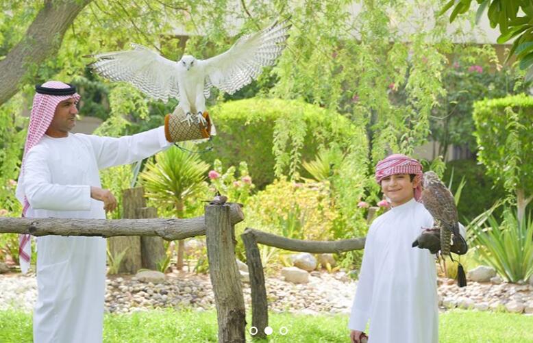 ABU DHABI FALCON HOSPITAL