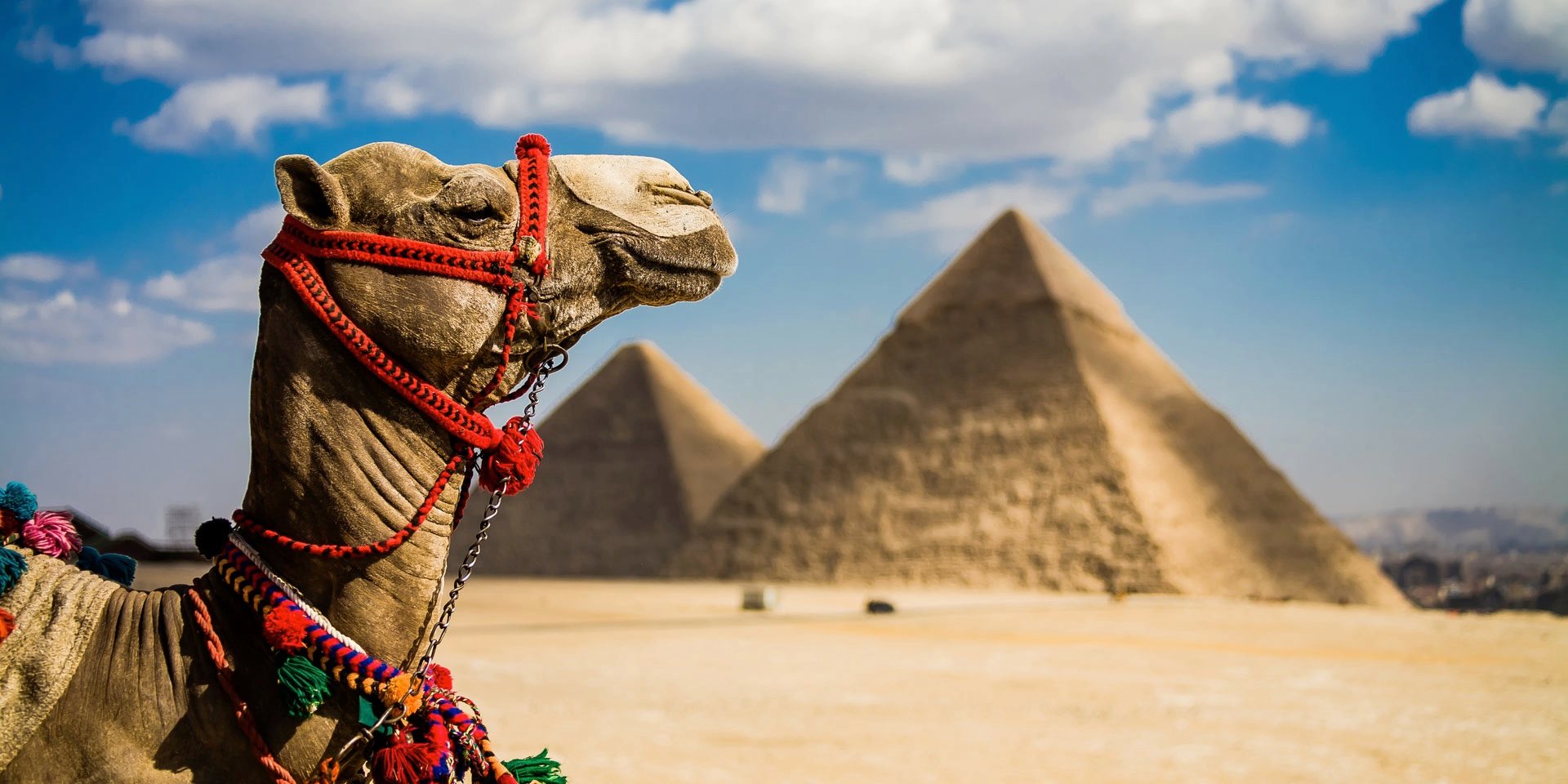Great News for travelers to Egypt