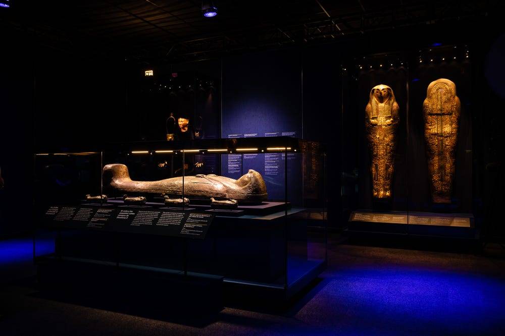 The opening of the Ramses and the Gold of the Pharaohs exhibition at the Australia Museum in Sydney